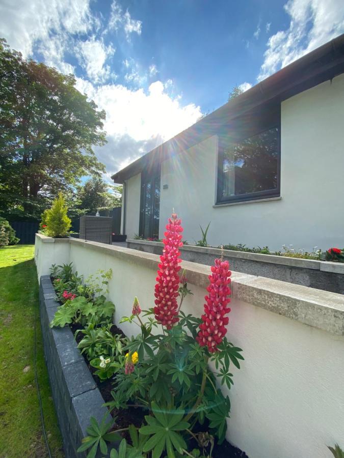 Aurora Suite B&B Coupar Angus Exterior foto