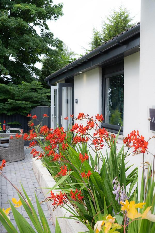 Aurora Suite B&B Coupar Angus Exterior foto